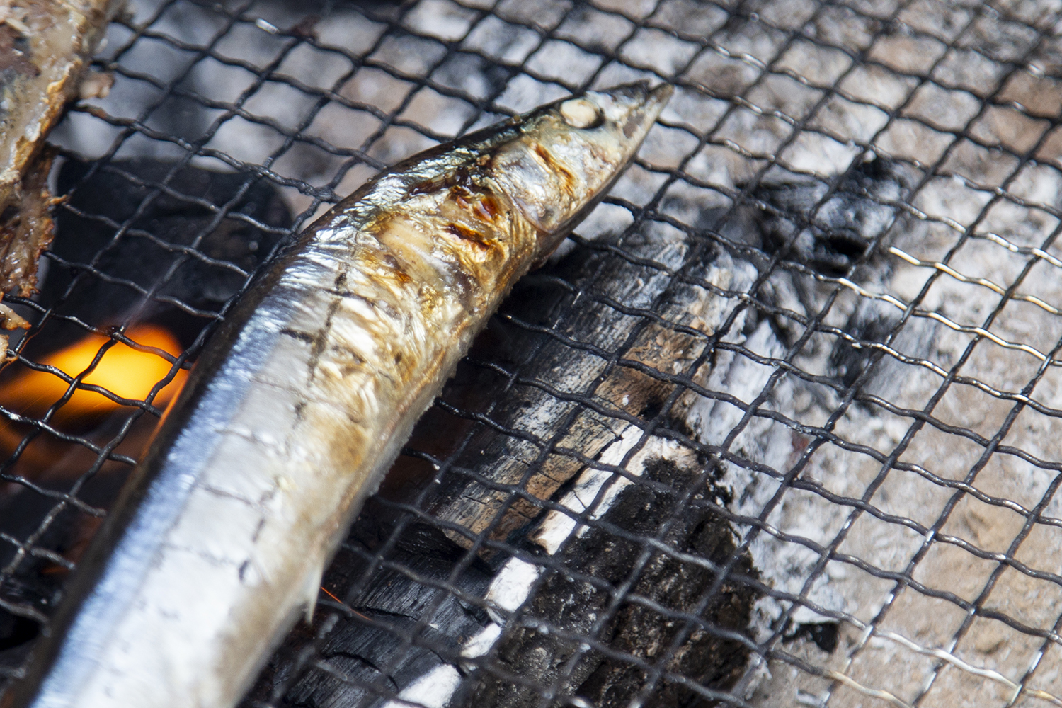 秋刀魚（サンマ）の炭火焼　作り方